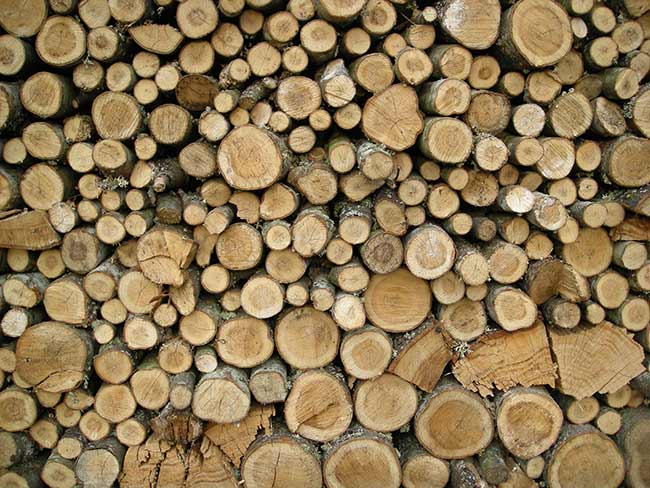 آرشیو اطلاعات فروشندگان چوب ، الوار و مصنوعات چوبی